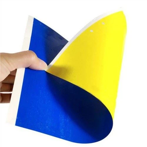 Papan Tangkapan Cacing Makan