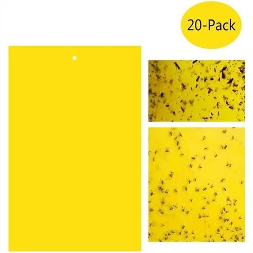 Perangkap Melekit Kuning
