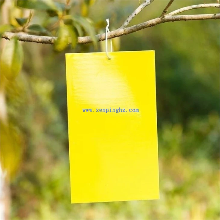 Dual Sided yellow Sticky Traps